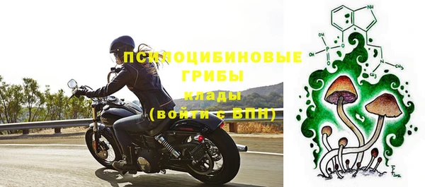 мескалин Инта