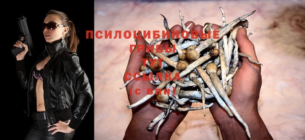 меф Инсар