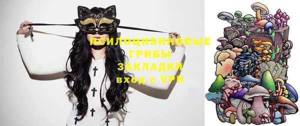 крисы Зеленокумск